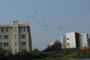 Photo College campus