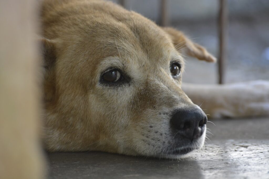 Food for thought: Why boredom is the next luxury status symbol