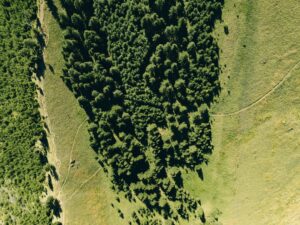 Photo Carbon Footprint