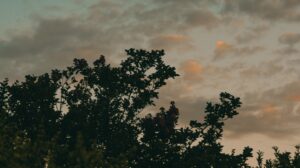 Photo upload memories