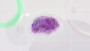 Photo Brain Processes Emojis
