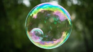 Photo algorithmic bubble