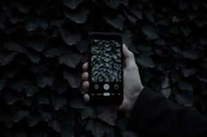 Photo Digital Immortality