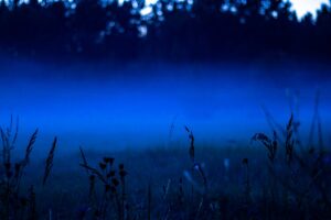 Photo Blue Light Affects Your Sleep