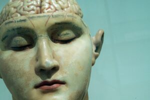 Photo Brain Processes Digital Text