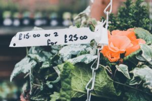 Photo Environmental Cost
