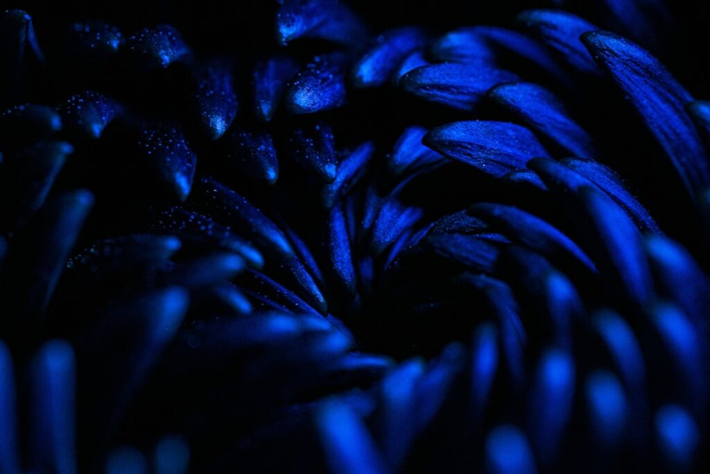 Hmm, I didn’t know that: Why the Color Blue is Extremely Rare in Nature