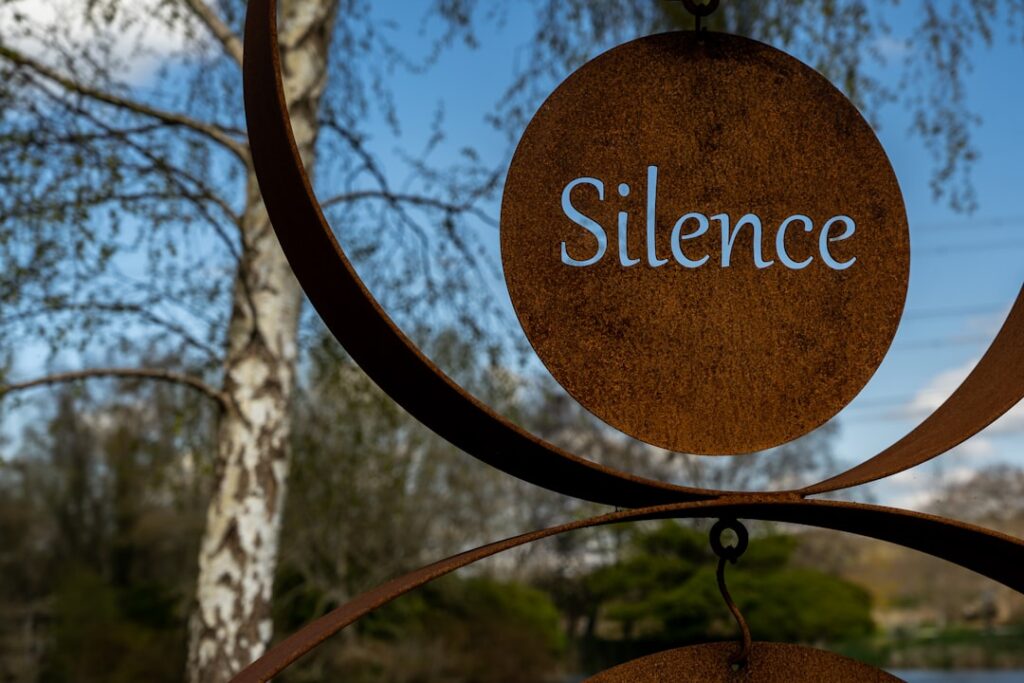 Hmm, I didn’t know that: Why Silence is Actually the Most Expensive Luxury