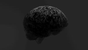 Photo Brain on Screens