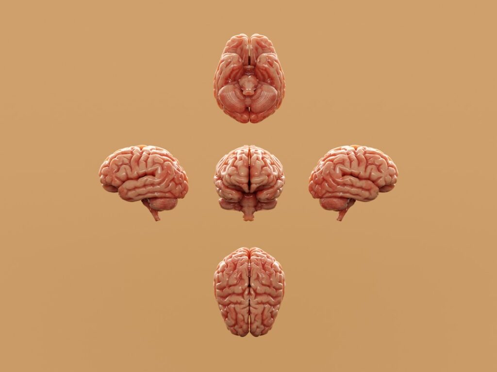 Food for thought: The Psychology Behind the Infinite Scroll
