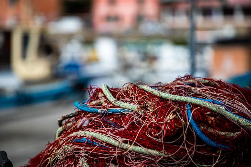 Hmm, I didn’t know that: How Undersea Cables Keep the Global Internet Alive