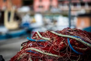 Photo Undersea Cables