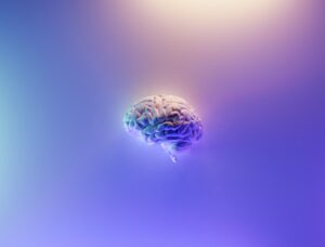 Photo Brain Processes Information