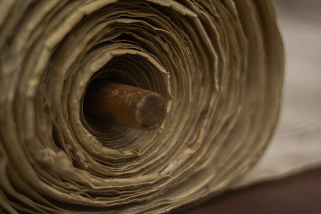 Food for thought: Why Our Brains Crave the Infinite Scroll